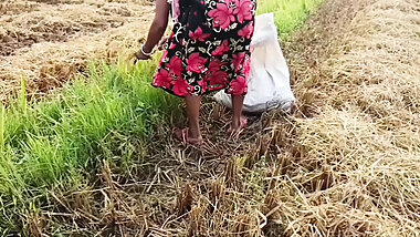 pee of the village in outdoor field of paddy cutting nomita boud