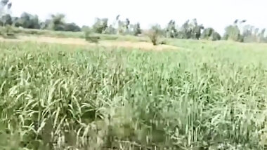 Neighbourhood sister-in-law