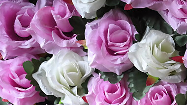 Sumana And Me - Bengali Audio Story